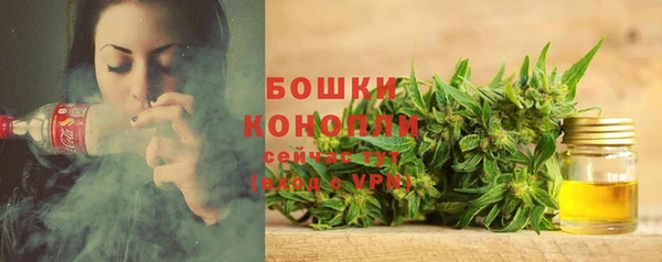 спайс Касимов