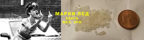 спайс Касимов