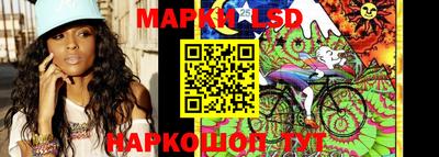 mdpv Гатчина