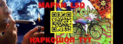 mdpv Гатчина