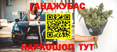 mdpv Гатчина