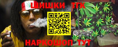 mdpv Гатчина