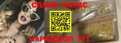mdpv Гатчина
