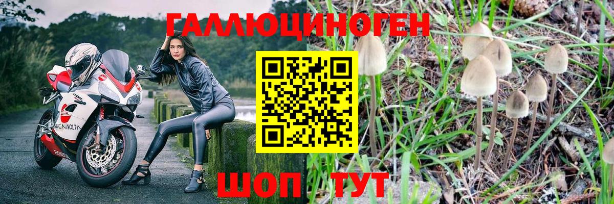 Галлюциногенные грибы MAGIC MUSHROOMS Кисловодск