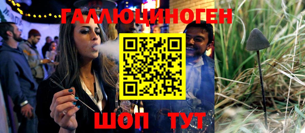 Псилоцибиновые грибы Magic Shrooms  Кисловодск  Галлюциногенные грибы мухоморы 