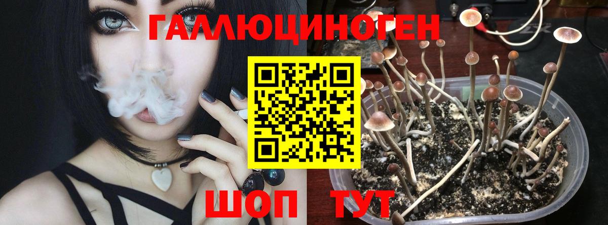 Галлюциногенные грибы прущие грибы Кисловодск